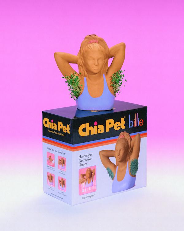 Billie_chia_pet